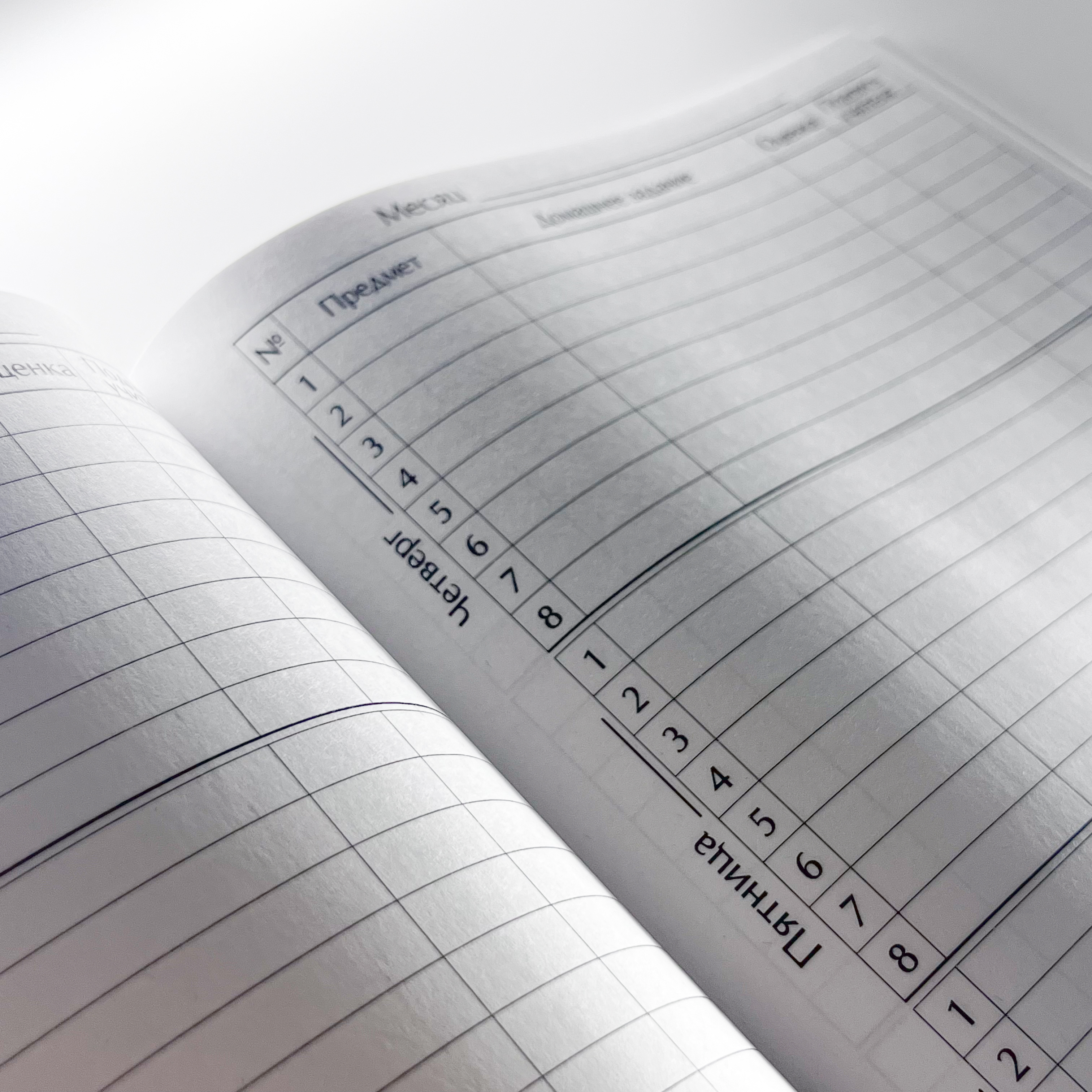 Дневники и тетради для магазина AZ Store