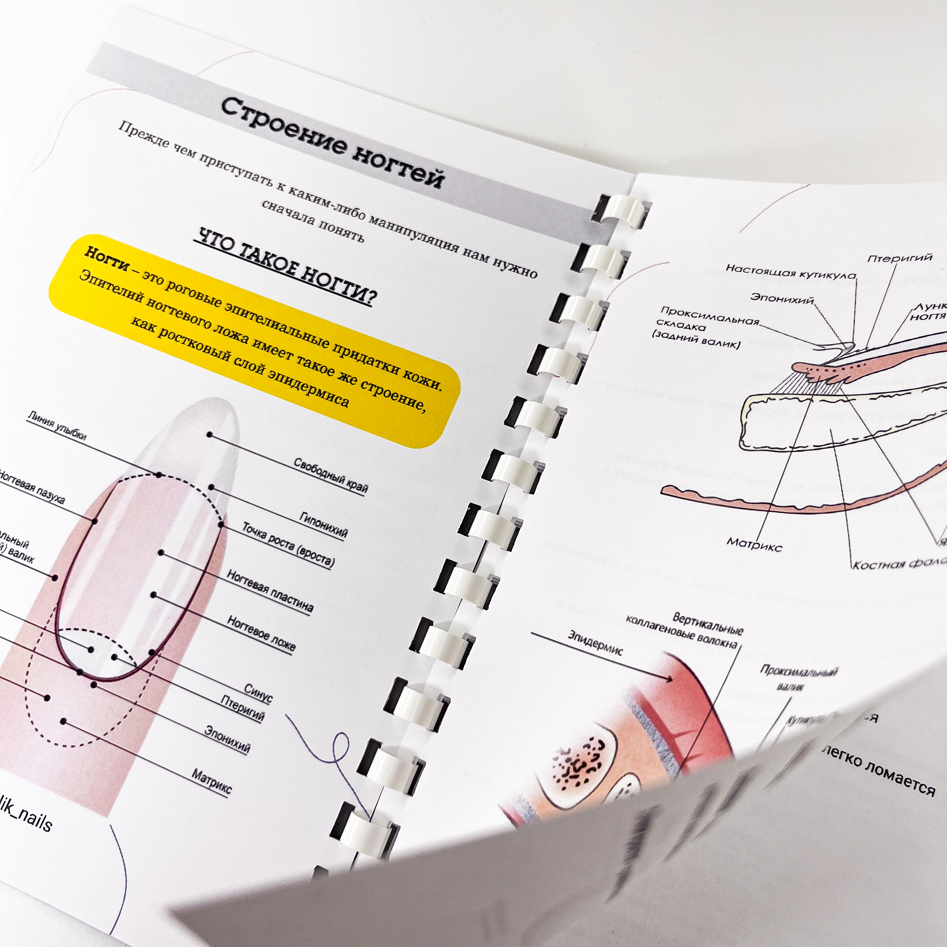 Методичка и сертификат по курсу маникюра от Ковалевой Юлии