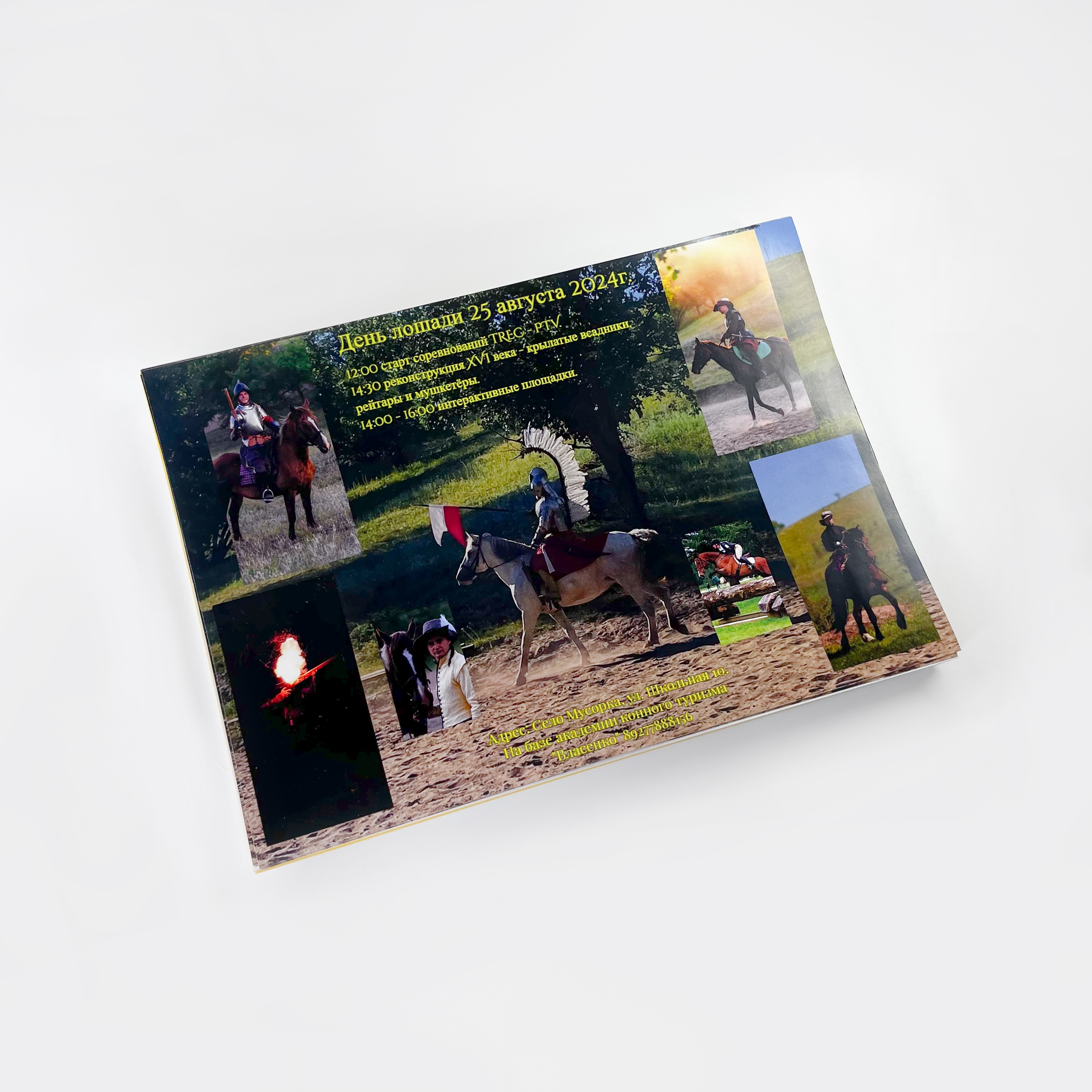 Дипломы и плакаты для академии конного туризма Власенко