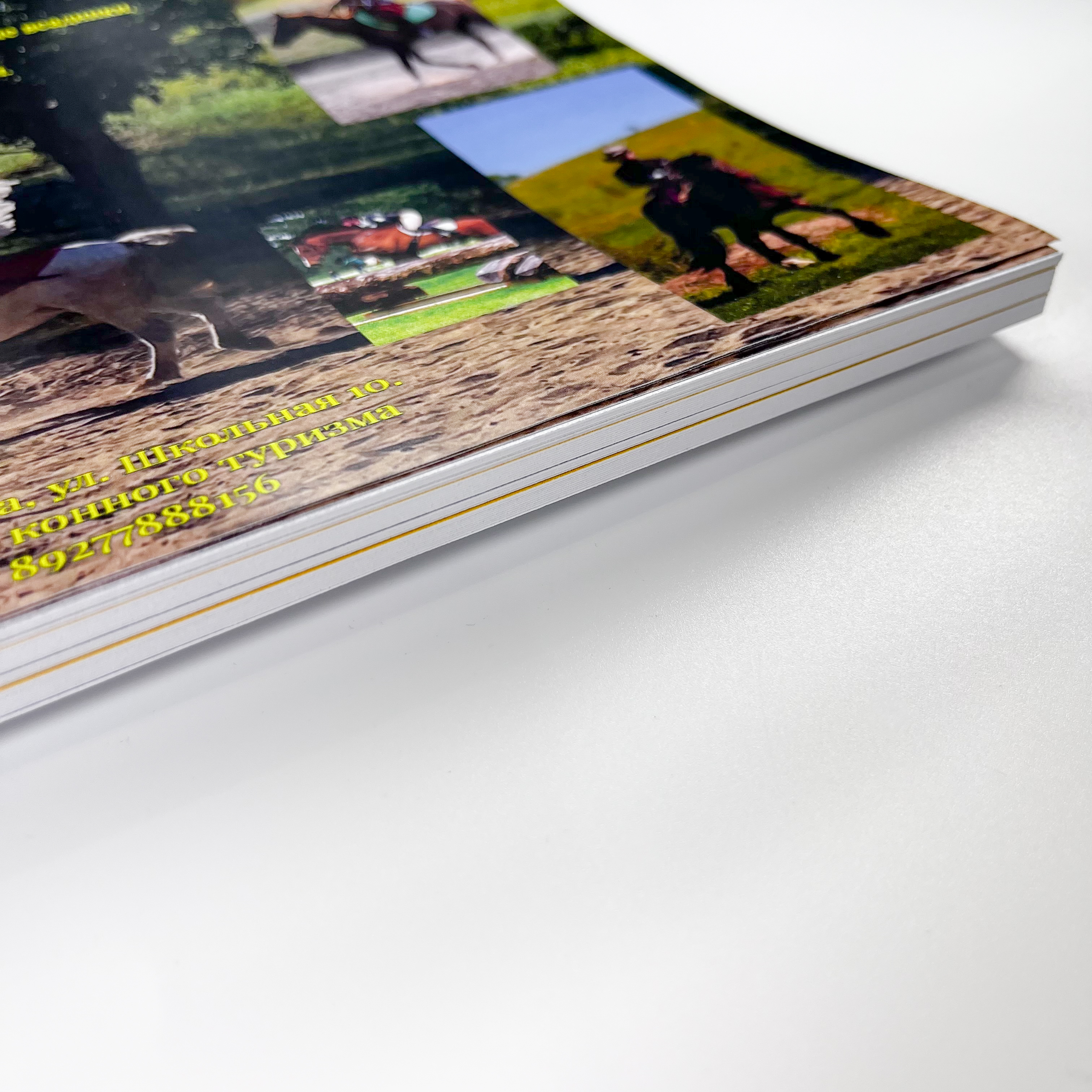 Дипломы и плакаты для академии конного туризма Власенко