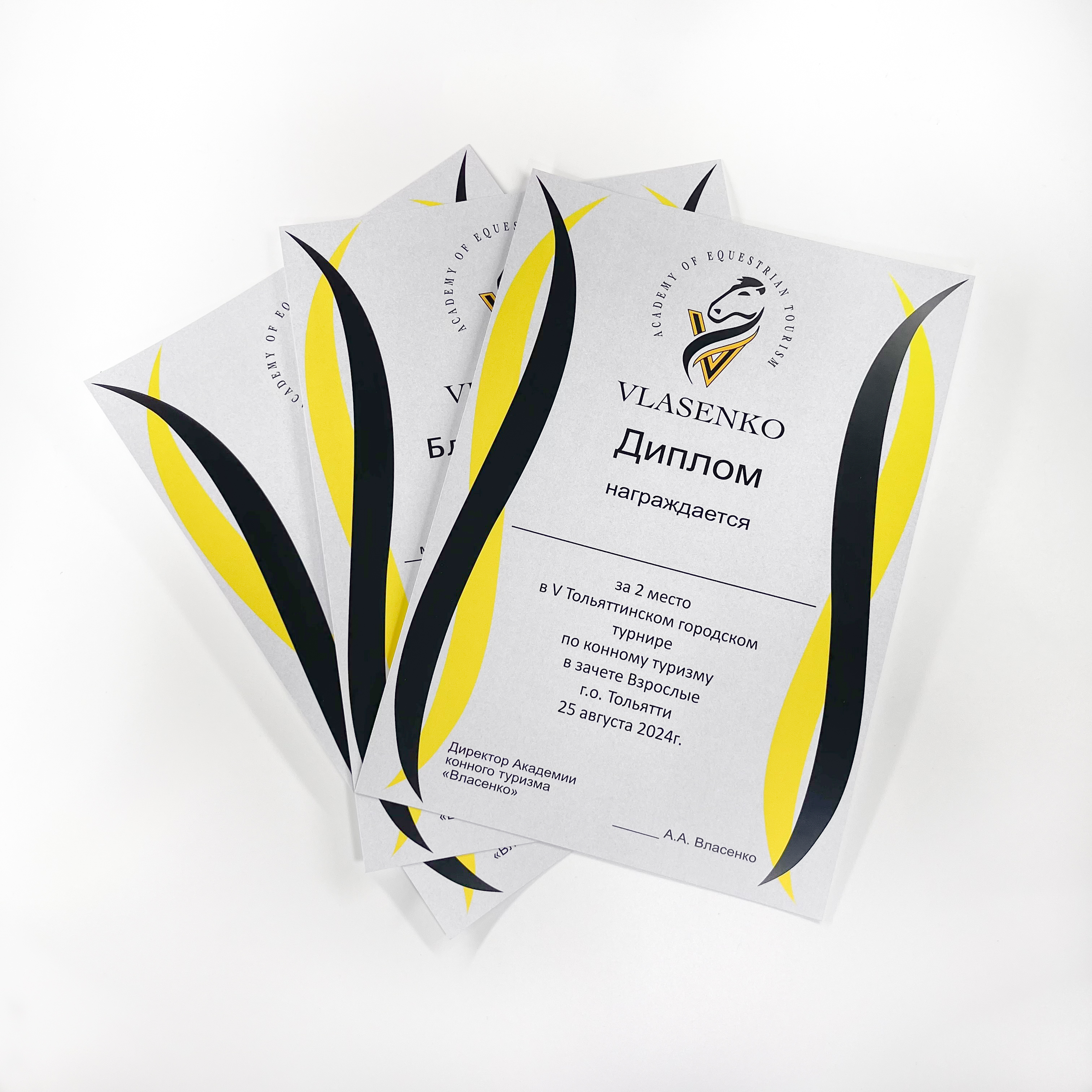Дипломы и плакаты для академии конного туризма Власенко