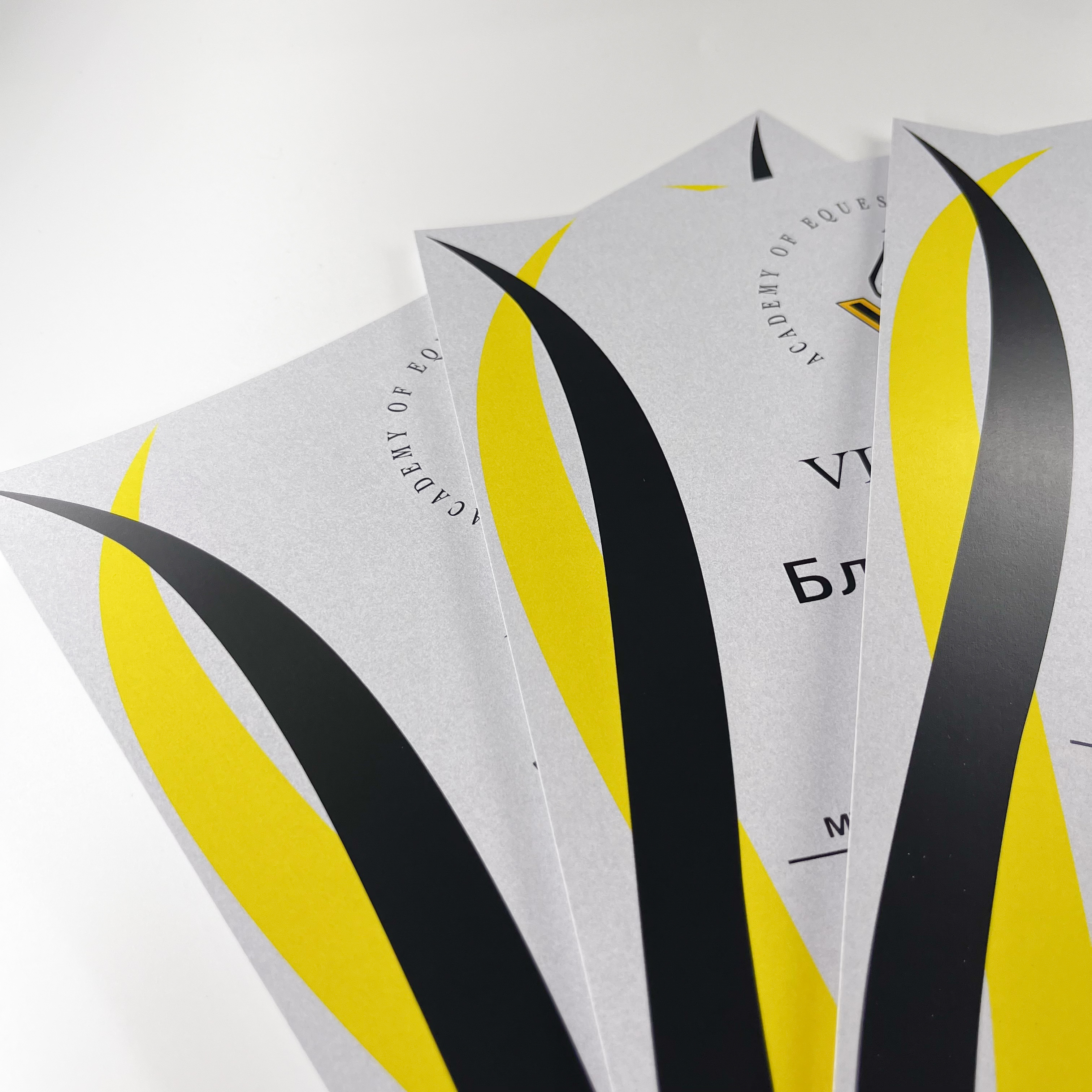 Дипломы и плакаты для академии конного туризма Власенко