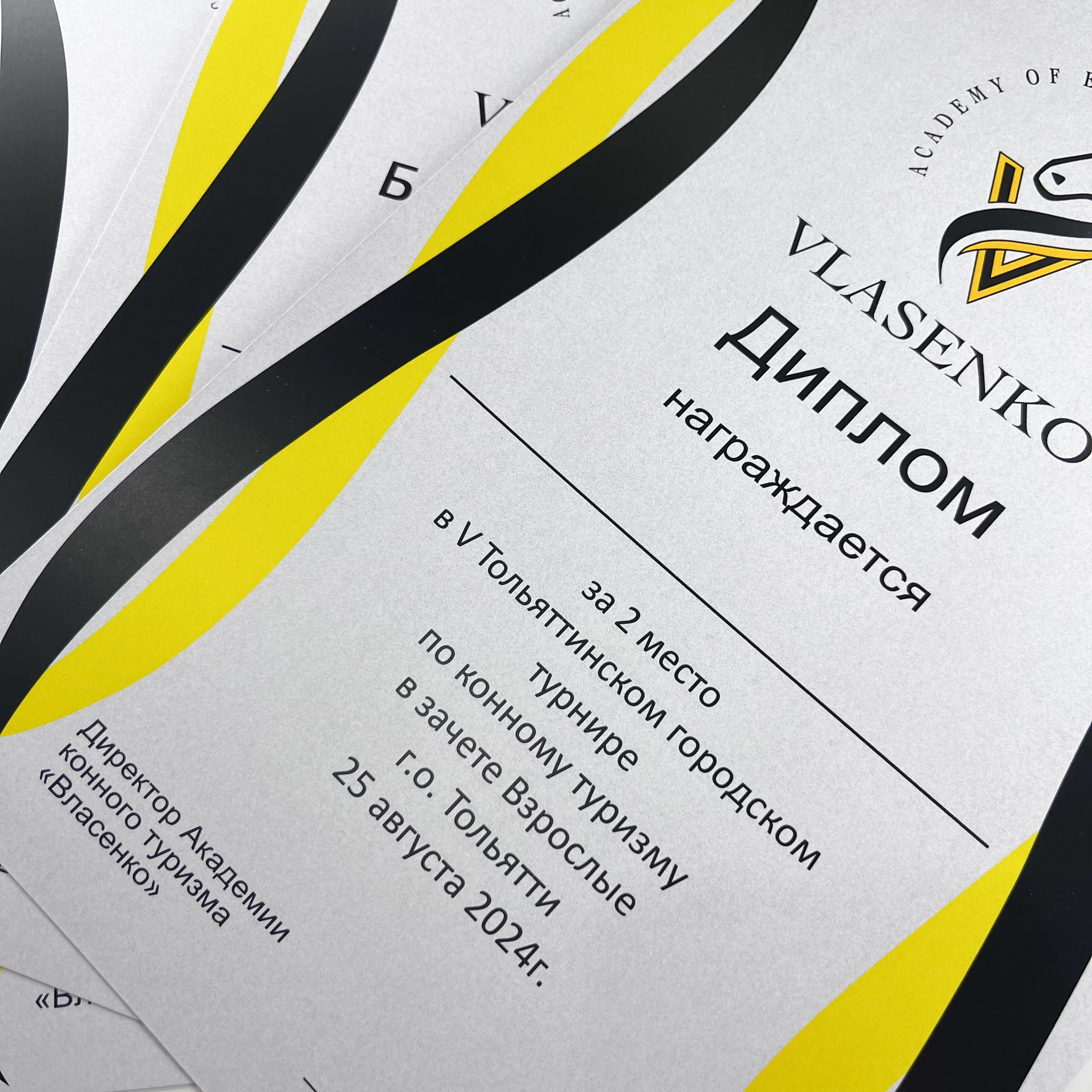 Дипломы и плакаты для академии конного туризма Власенко