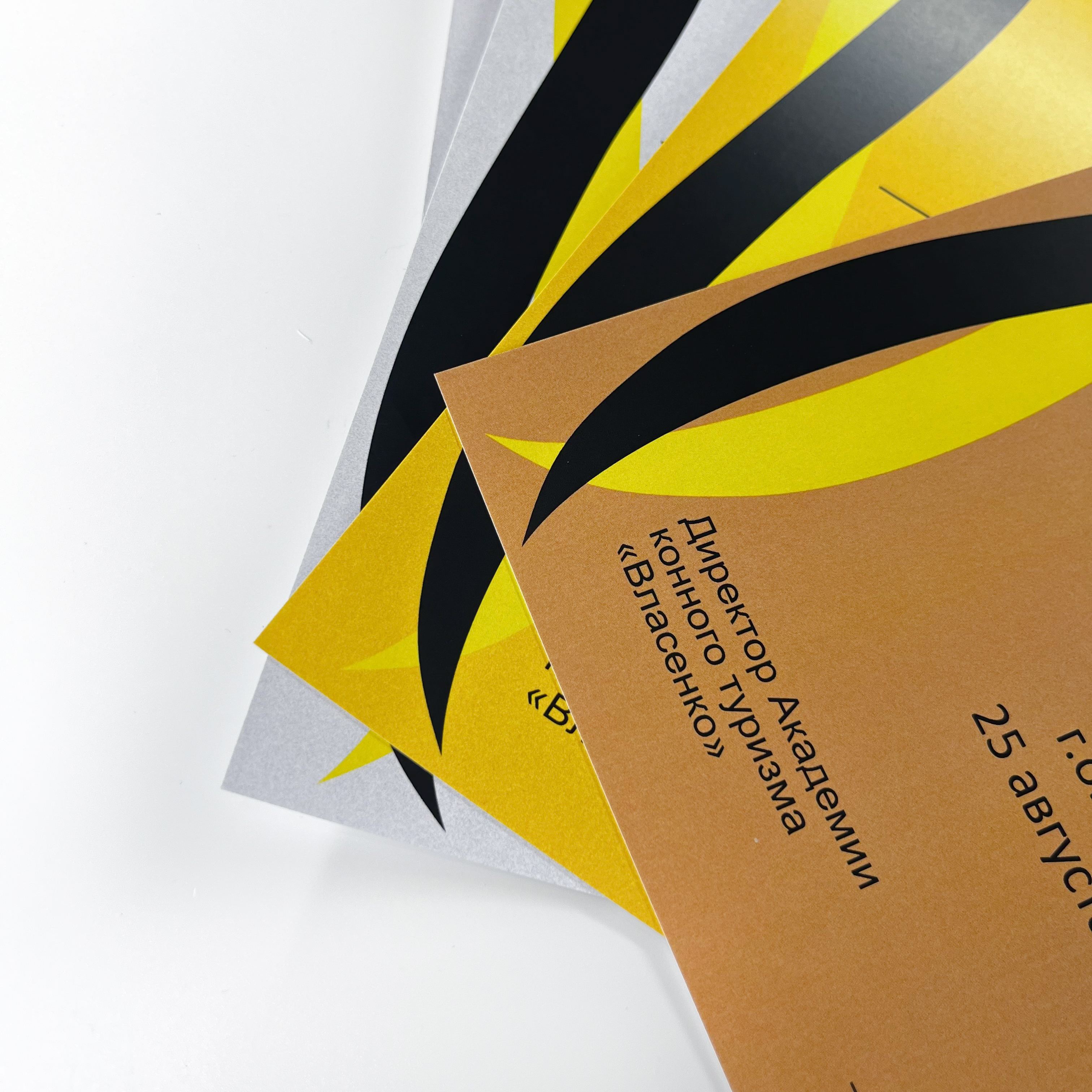 Дипломы и плакаты для академии конного туризма Власенко