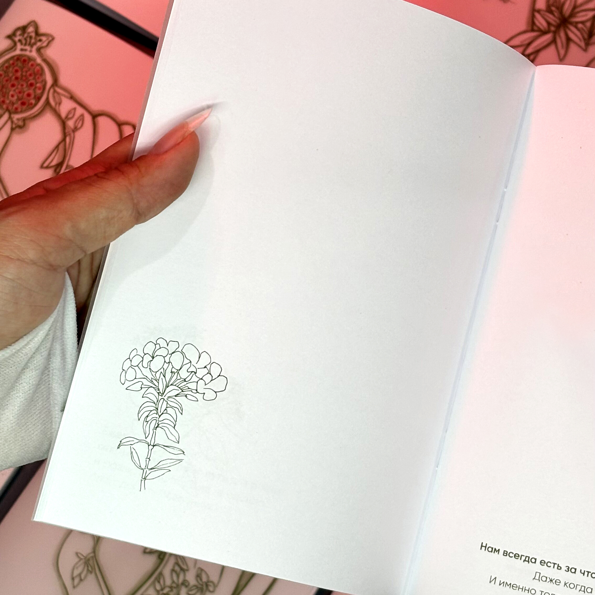 Дневник с обложкой из кальки