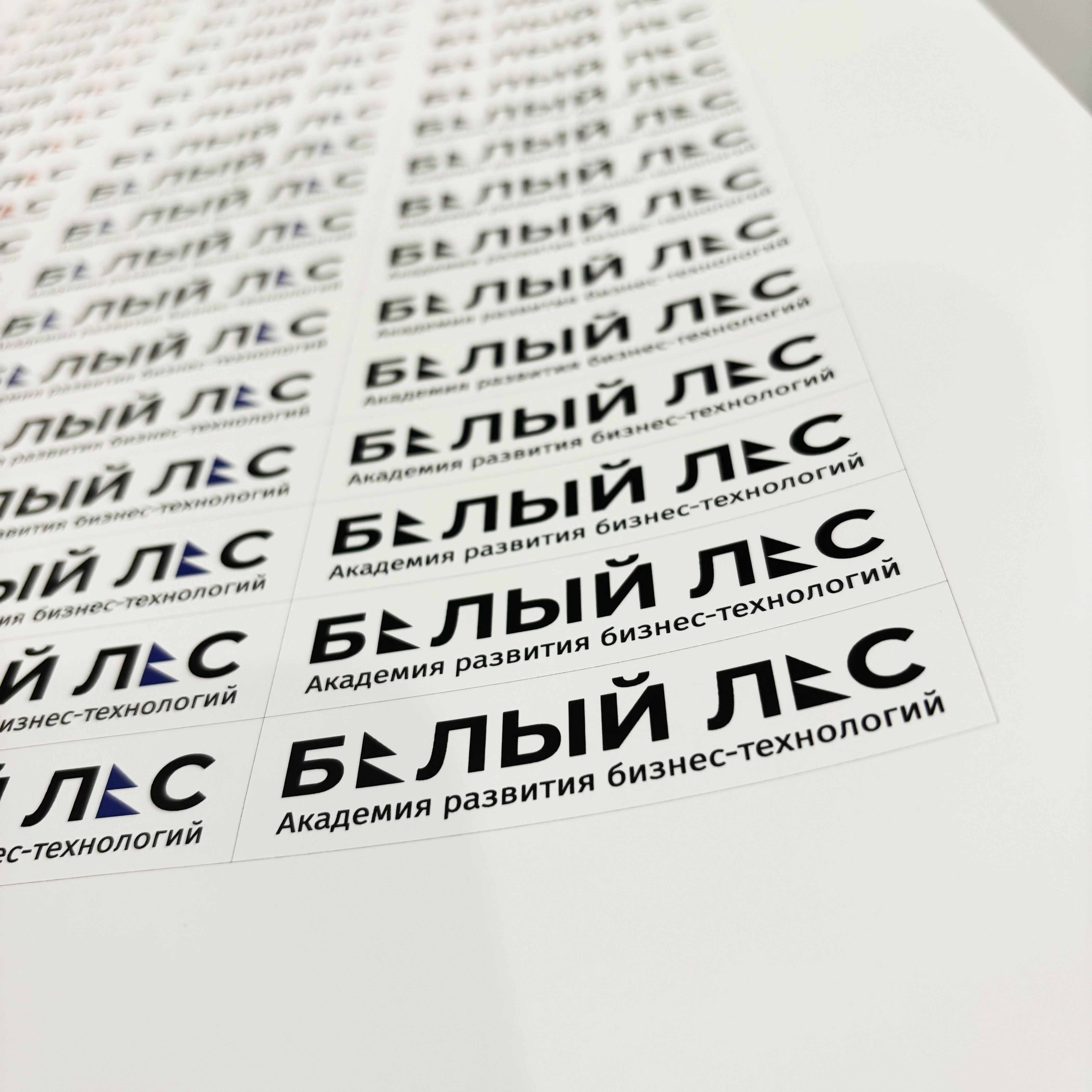 Наклейки для Академии Белый лес