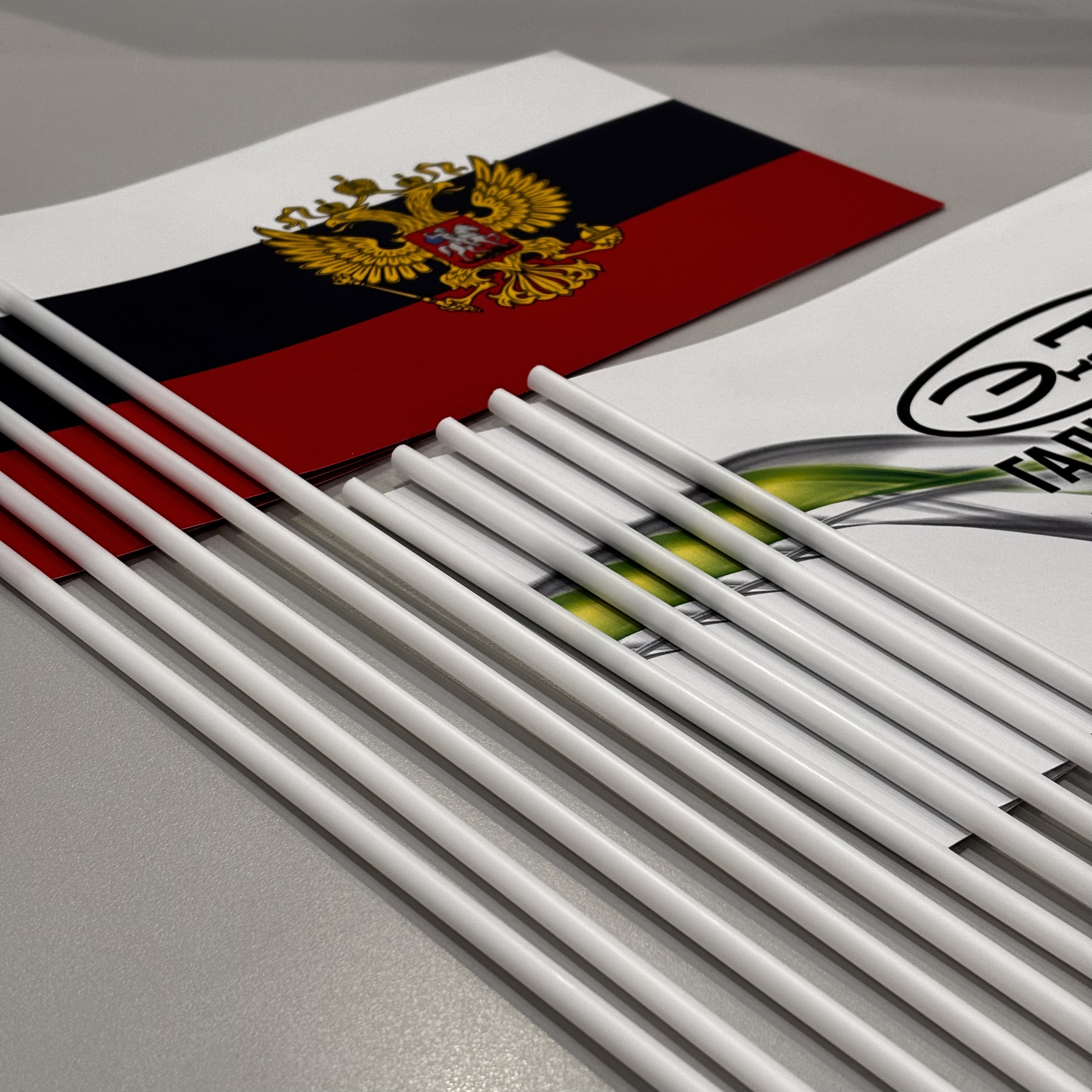 Флажки для компании ЭкоТех