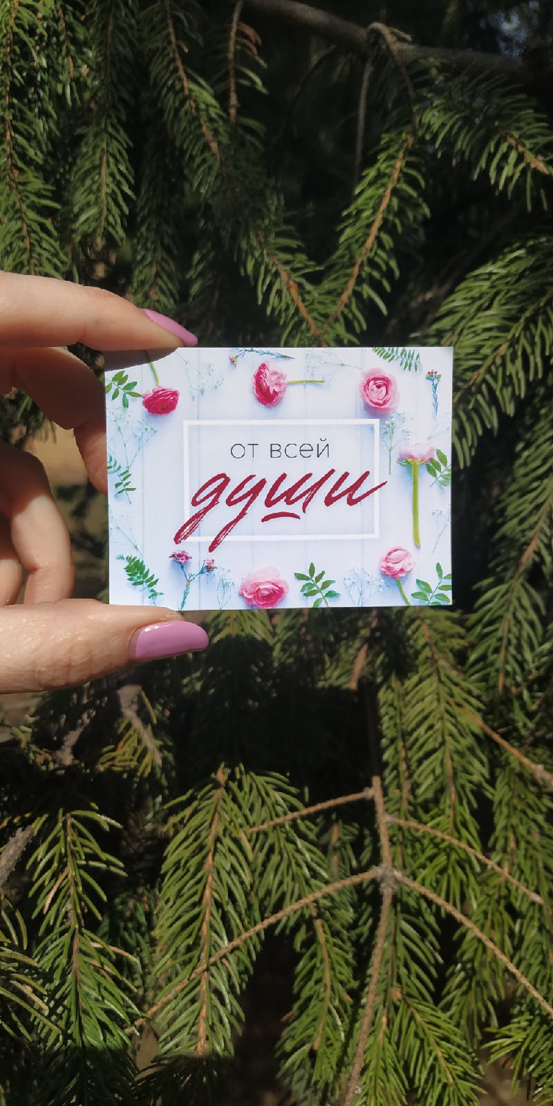 Открытки для Гульнары Латыповой